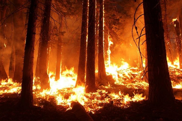 Galicia arde en llamas